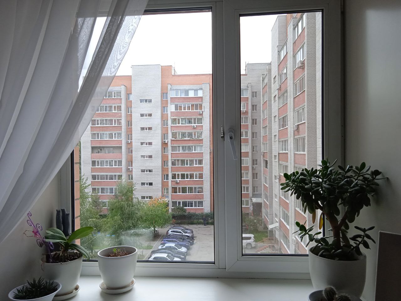https://kaliningrad.delaem-okna.ru/storage/app/uploads/public/63f/331/482/63f331482975f325093091.jpg